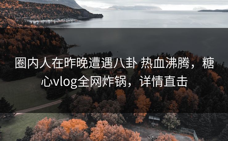 圈内人在昨晚遭遇八卦 热血沸腾，糖心vlog全网炸锅，详情直击  第1张